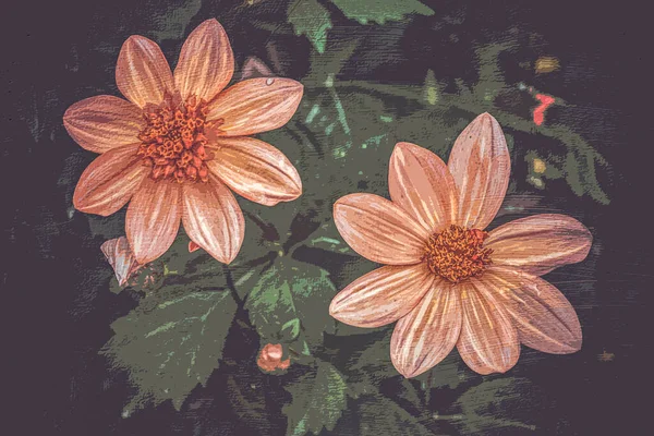 Illustration Botanique Imprimable Design Intérieur Décorations Murales Peintures Fleur Sur — Photo