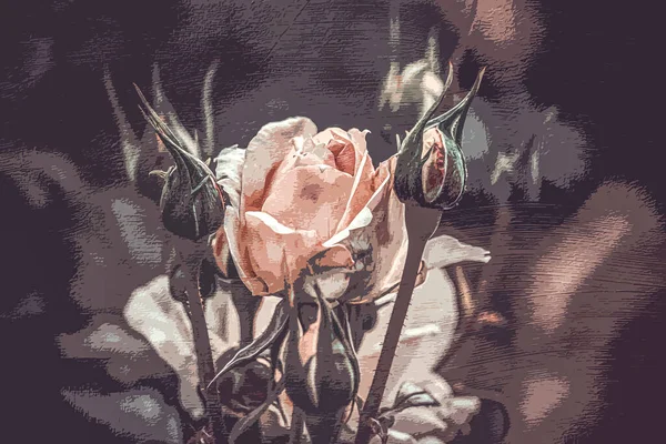 可打印的植物图解 室内设计 墙面装饰 美丽的玫瑰在黑暗的背景上 现代抽象艺术 — 图库照片