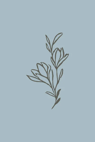 可打印的植物图解 极小的和自然的墙艺术 线条艺术 抽象形状的植物的绘画 封面的摘要设计 — 图库照片