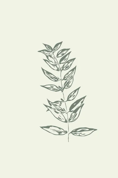 Nowoczesna Ilustracja Botaniczna Połowy Wieku Modny Współczesny Design Minimalistyczne Kwiaty — Zdjęcie stockowe