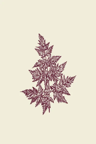 현대의 식물학적 예시입니다 현대적 디자인이다 미나미 예술로 인쇄용 — 스톡 사진