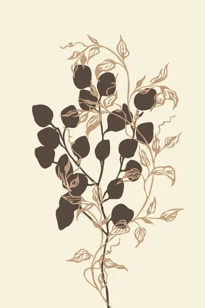 Modern Mitten Seklet Botanisk Illustration Modernt Modern Design Minimalistiska Växter — Stockfoto