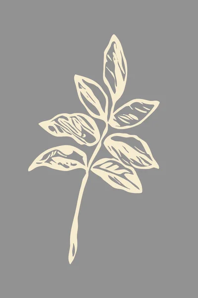 Nyomtatható Minimalista Poszter Növények Illusztráción Belső Kialakítás Faldekoráció — Stock Fotó