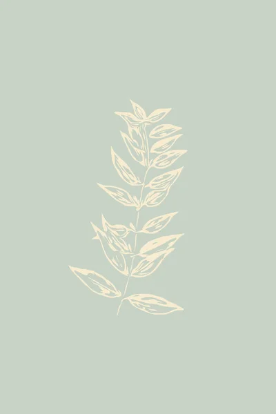 Минималистическая Иллюстрация Настенная Графика Цветы Растения Травы Иллюстрации Дизайн Печати — стоковое фото