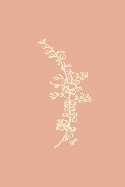 Kształty Botaniczne Grafika Sztuki Ściennej Kwiaty Rośliny Liście Ilustracji Minimalistyczny — Zdjęcie stockowe
