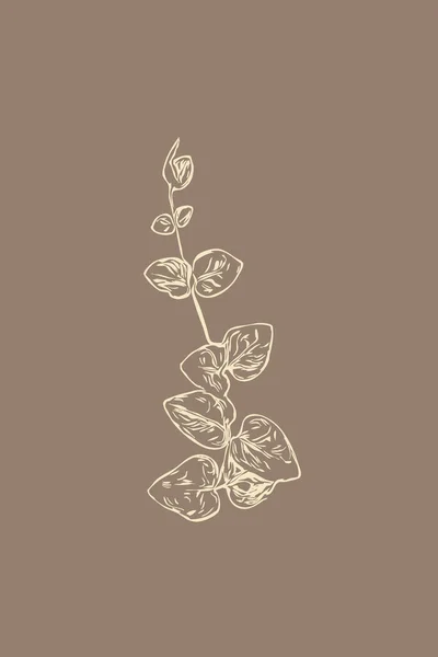Botanische Vormen Grafieken Voor Muurkunst Bloemen Planten Bladeren Illustratie Afdrukbaar — Stockfoto