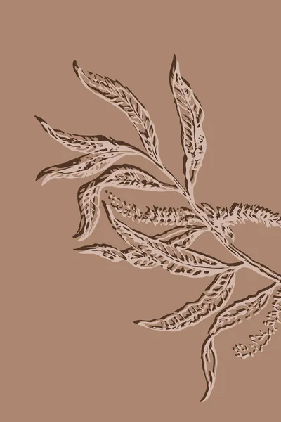 Modern Középszázadi Botanikai Illusztráció Divatos Kortárs Design Minimalista Növények Művészetben — Stock Fotó