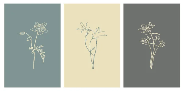 식물학 컬렉션 색깔의 포스터와 — 스톡 벡터