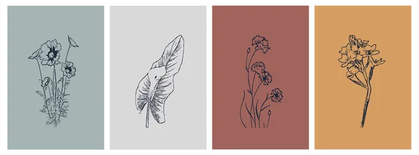 Uppsättning Botaniska Illustrationer Minimalistisk Stil Och Neutrala Färger För Affisch — Stock vektor