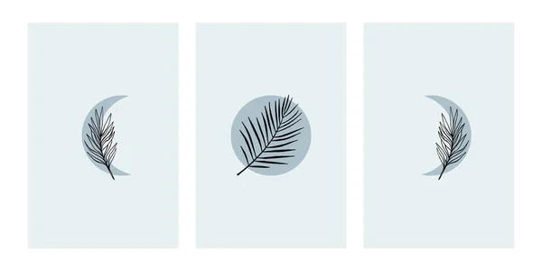 Ensemble Illustrations Botaniques Dans Style Minimaliste Des Couleurs Neutres Pour — Image vectorielle