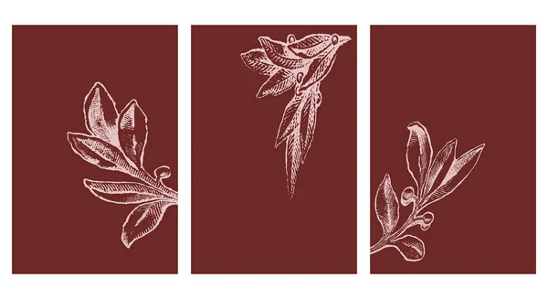 Набор Минималистических Плакатов Современная Ботаническая Иллюстрация Печати Абстрактный Дизайн Обложки — стоковый вектор