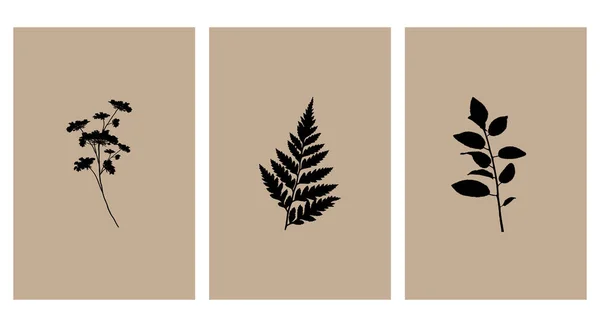 Een Set Minimalistische Posters Moderne Botanische Illustratie Voor Drukwerk Uittreksel — Stockvector