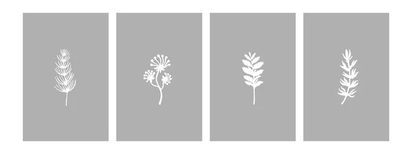 Een Set Minimalistische Posters Moderne Botanische Illustratie Voor Drukwerk Uittreksel — Stockvector