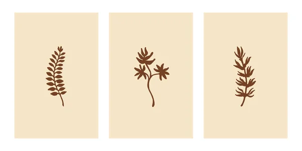 Set Minimalistischer Poster Moderne Botanische Illustration Für Den Druck Abstraktes — Stockvektor