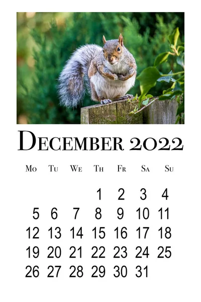 Cartão Calendário Imprimível Para Dezembro 2022 — Fotografia de Stock