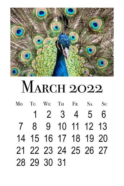 Scheda Calendario Stampabile Marzo 2022 — Foto Stock