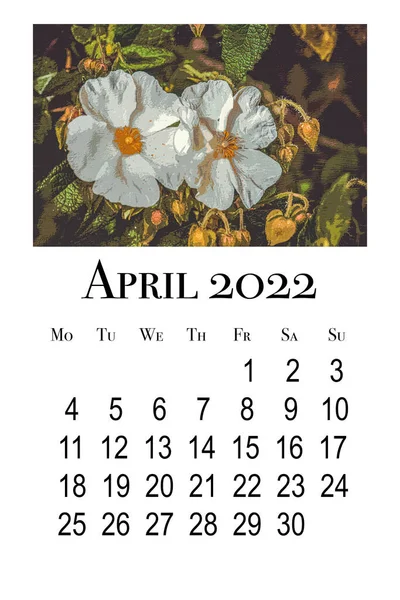 2022年4月のカレンダーカード 植物暦 — ストック写真
