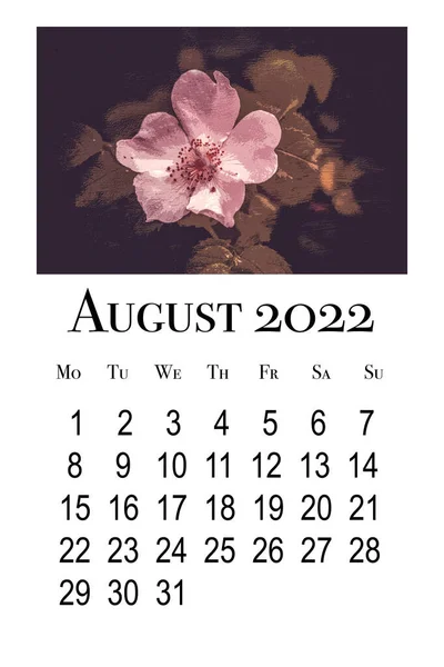 Tisknutelná Kalendářní Karta Pro Srpen2022 Botanický Kalendář — Stock fotografie