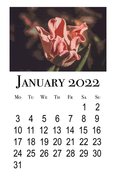 Tarjeta Calendario Imprimible Para Enero 2022 Calendario Botánico —  Fotos de Stock