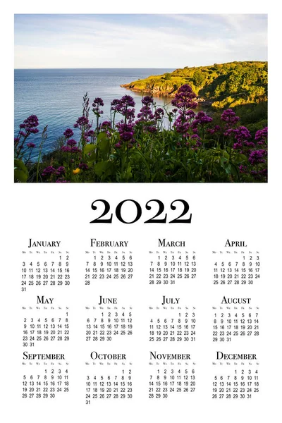 Calendario Botanico 2022 Calendario Verticale Parete Stampabile Settimana Inizia Lunedì — Foto Stock