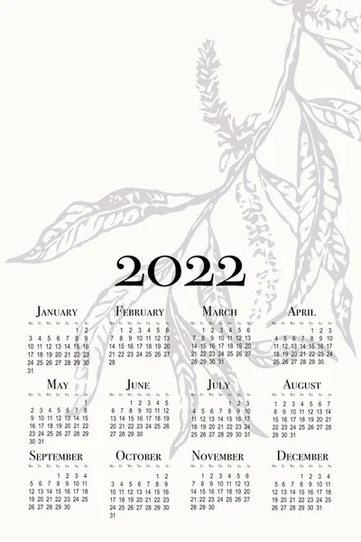 Minimalistischer Kalender Für 2022 Druckbarer Senkrechter Wandkalender Die Woche Beginnt — Stockfoto