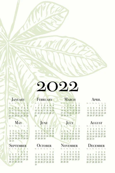 Calendario Minimalista Para 2022 Calendario Pared Vertical Imprimible Semana Comienza — Foto de Stock