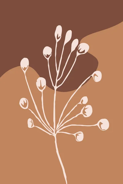 Botanická Ilustrace Minimalistickém Stylu Neutrálních Barvách Plakátu Potisk Košili Obal — Stock fotografie