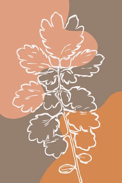 Ботанические Абстрактные Формы Настенная Графика Минималистский Дизайн Печати Растения Иллюстрации — стоковое фото