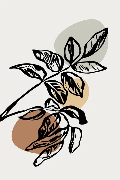 Illustrazione Botanica Minimalista Grafica Murale Fiori Piante Erbe Nell Illustrazione — Foto Stock