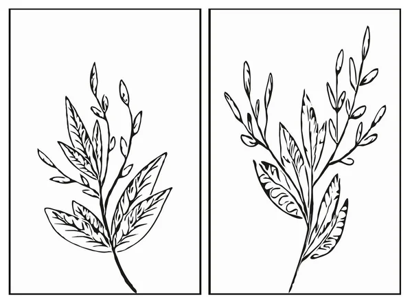Набор Ботанических Плакатов Плакат Современного Искусства Минималистский Дизайн Печати Обложки — стоковый вектор
