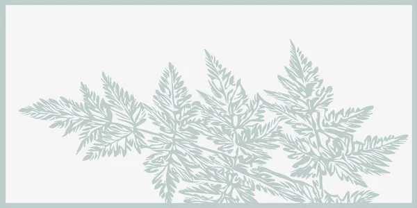 Panoramische Botanische Illustratie Voor Drukwerk Minimalistisch Interieur Wanddecoraties Foto Een — Stockvector