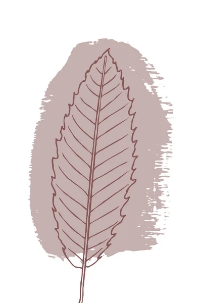 Minimalistyczna Drukowana Ilustracja Botaniczna Wystrój Wnętrz Obrazy Ścienne Liście — Zdjęcie stockowe