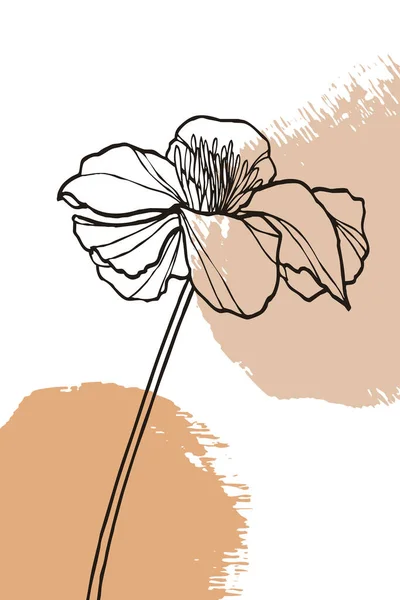 Minimalistisk Botanisk Illustration Att Skriva Inredning Väggmålningar Blommor — Stockfoto