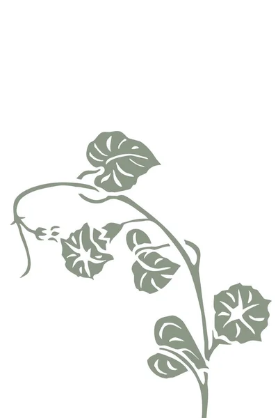 미니멀리즘적 Printable Botanical Illustration 디오르 페인트 — 스톡 사진