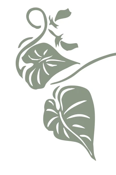 Minimalistisk Botanisk Illustrasjon Hjemmedekorasjon Veggmalerier Illustrasjon Grønne Blader – stockfoto