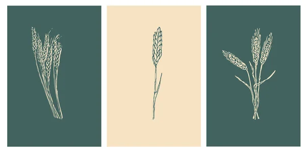 Collectie Van Botanische Kunst Minimale Afdrukken Muren Afdrukbare Wanddecoraties Neutrale — Stockvector