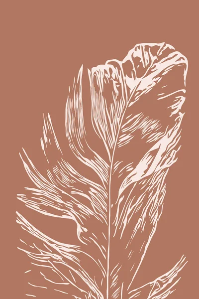 White Feather Brown Background Fashionable Printable Card Use Cover Wallpaper — Foto de Stock