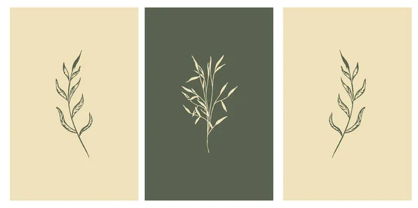 トレンディーな印刷可能なカードのセット カバー ポストカード ウォールアートでの使用のため 植物図 — ストックベクタ