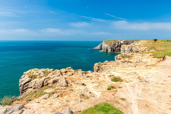 Pembrokeshire, West Wales, UK. Landscape by the ocean. Sunny summer.