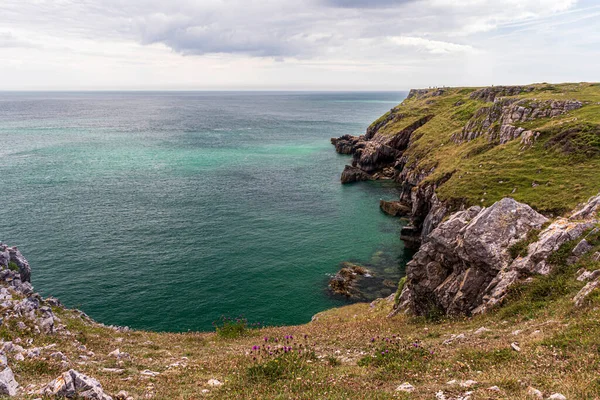 Pembrokeshire Gales Occidental Reino Unido Paisaje Junto Océano Verano Soleado —  Fotos de Stock