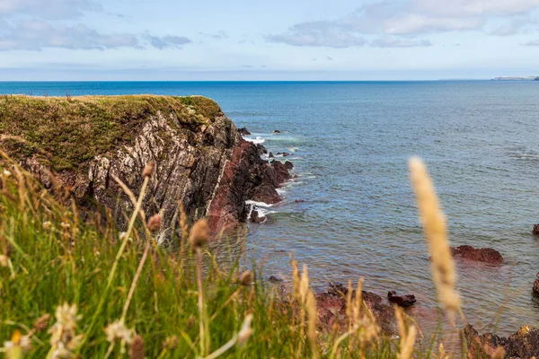 Pembrokeshire Castlemartin Wales Reino Unido Paisaje Junto Océano Soleado Día — Foto de Stock