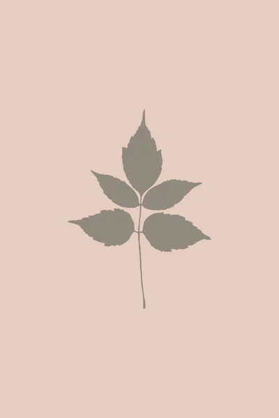 Nadruk Ilustracji Botanicznej Minimalistyczny Styl Projektowanie Wnętrz Dekoracje Ścienne Projekt — Zdjęcie stockowe