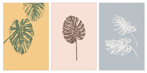 Bir dizi minimalist çizimler. Duvar sanatları grafikleri. İllüstrasyondaki bitkiler. Baskı, kapak, duvar kağıdı, sosyal medya için tasarım. İç tasarım, duvar süslemeleri. Botanik illüstrasyon.