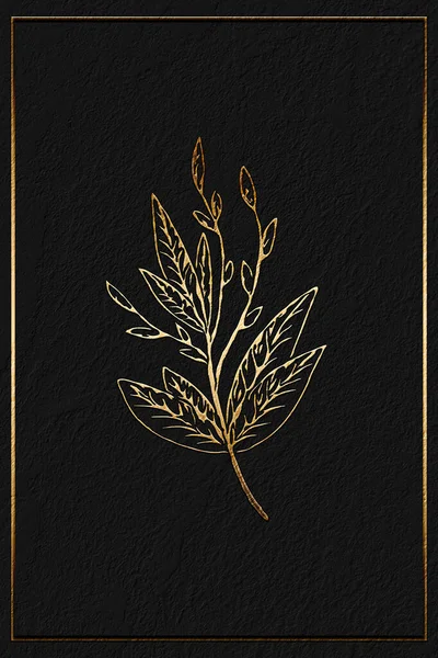 그래픽 식물학 초대장 커버등에 수있습니다 어두운 배경에 나뭇잎 — 스톡 사진