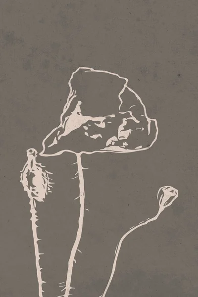 Neutralna Sztuka Ścienna Wydrukowana Ilustracja Botaniczna Nowoczesna Rustykalna Dekoracja Ścian — Zdjęcie stockowe