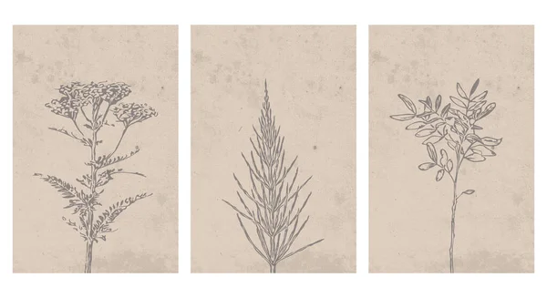 Een Set Botanische Posters Hedendaagse Kunst Poster Abstract Patroon Voor — Stockvector