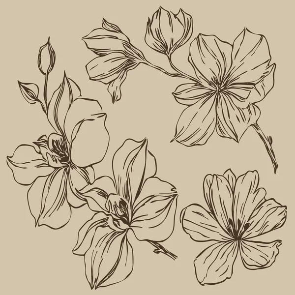 Klasyczny Zestaw Wektorowy Kwiaty Magnolii Tapety Tła Zaproszenia Ślubne Wszystkiego — Wektor stockowy