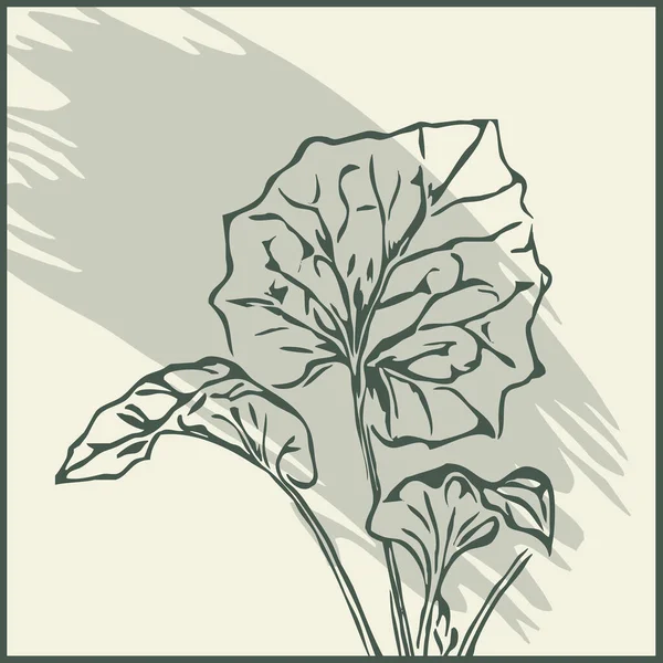 Botanical Abstract Shapes Wall Art Graphics Leaves Illustration Printable Minimalist — Stock Photo, Image