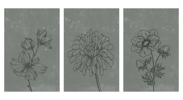 인쇄용 식물학 삽화모음 현대식 현대적 디자인 — 스톡 벡터
