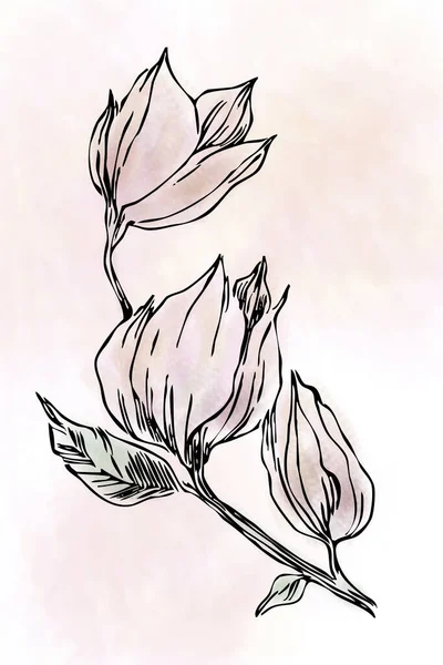 可打印的简约风格植物图解 春天的花朵是用水彩画的 室内设计壁纸上的生日贺卡 — 图库照片